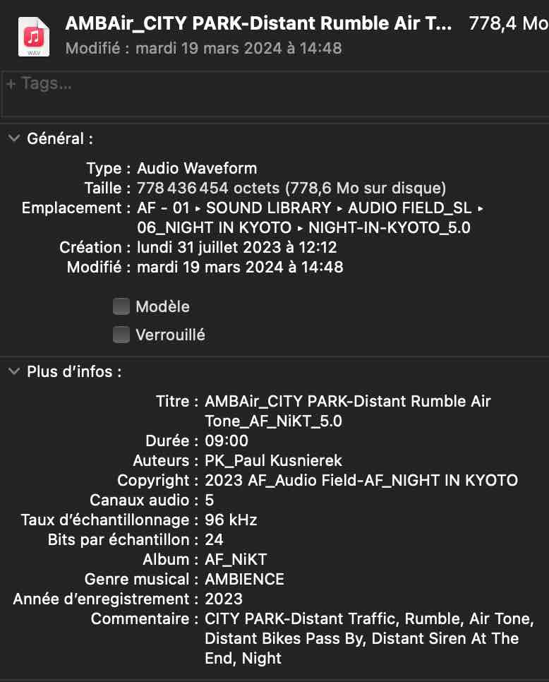 macOS file information panel for AMBAir_CITY PARK-Distant Rumble Air Tone_AF_NiKT_5.0 showing 778.4 MB size, 09:00 duration, 5 audio channels, 96 kHz sample rate, 24 bits per sample and an AMBIENCE genre
