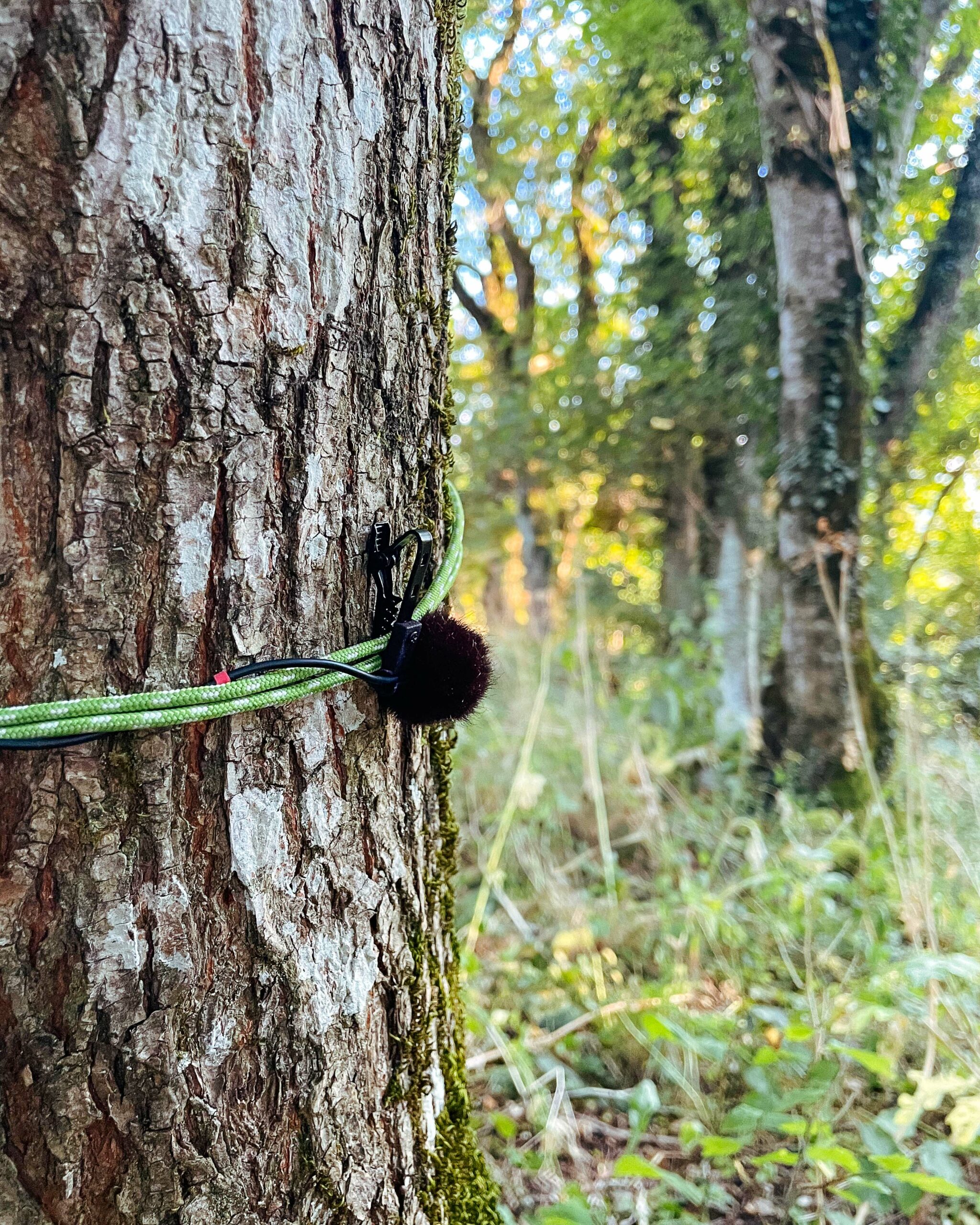 DROP RIG 1