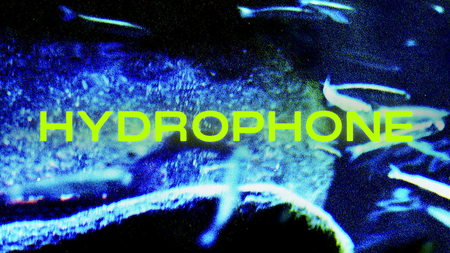 Hydrophone