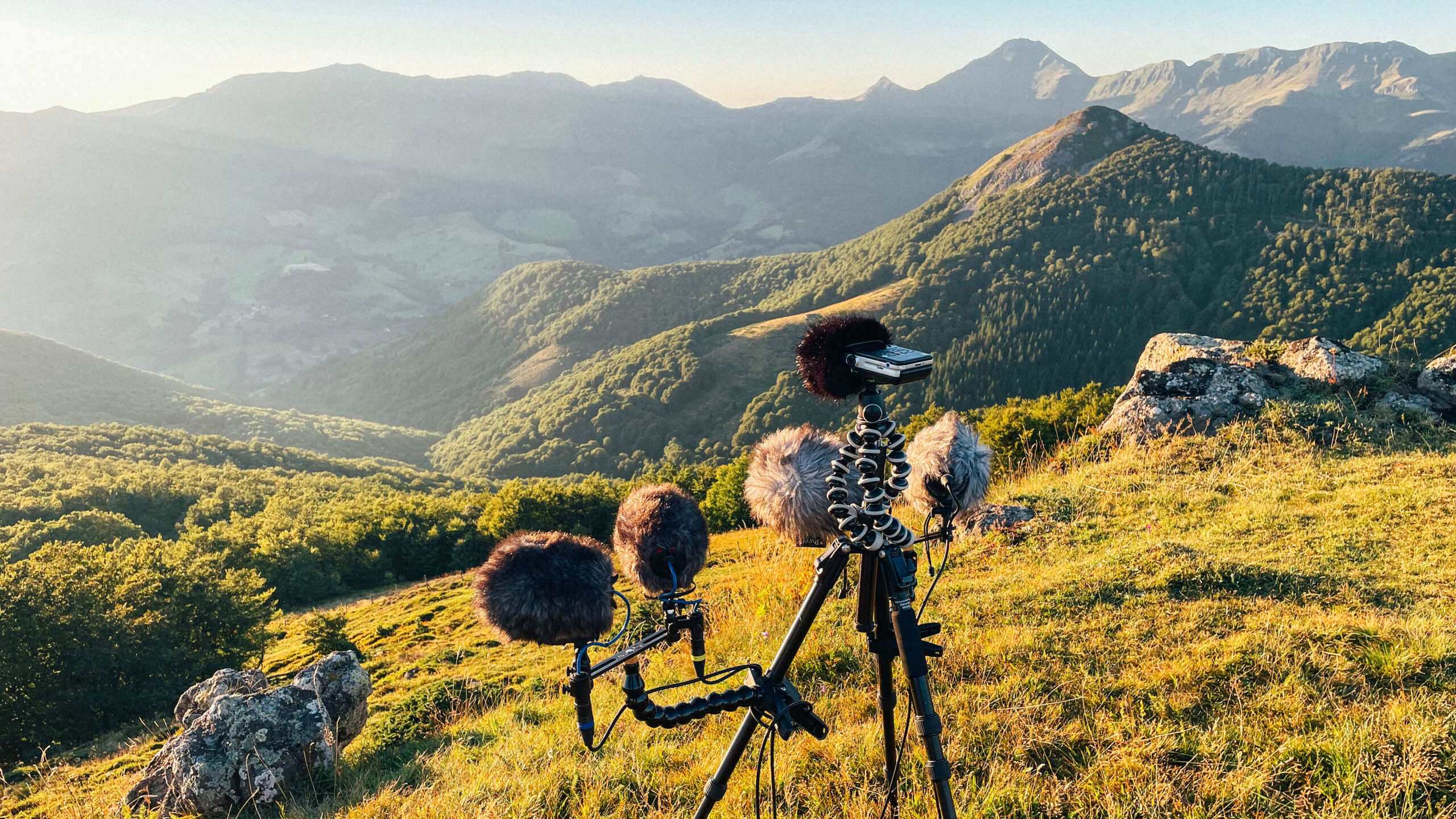 Wind protection equipment set up in a mountain landscape