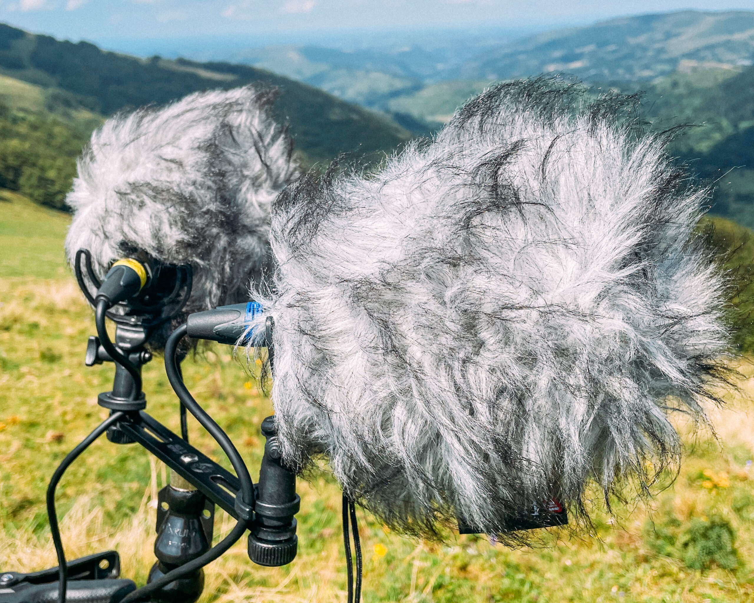 Rycote