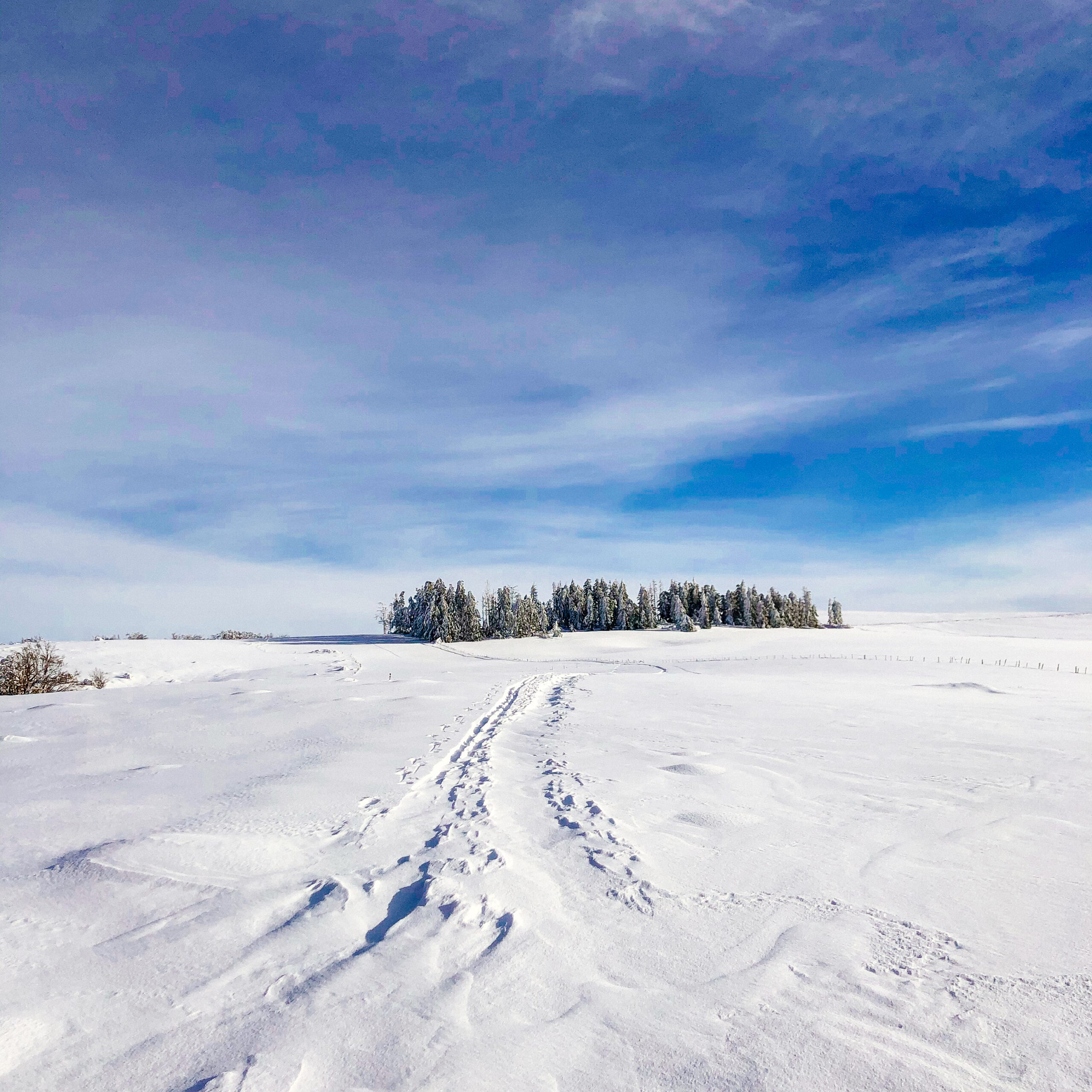 Field recording photograph from the Winter Scape sessions (16)