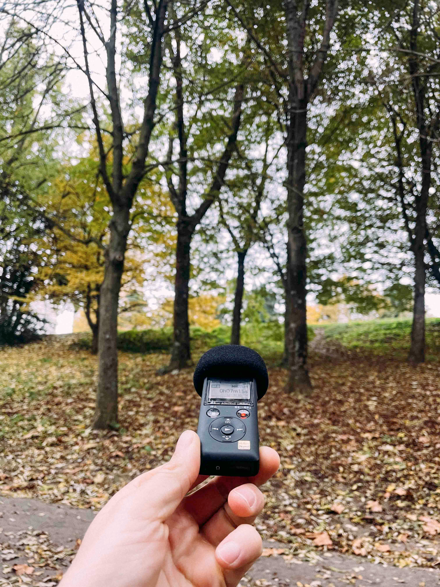 Sony PCM-A10 recording in a London park in autumn