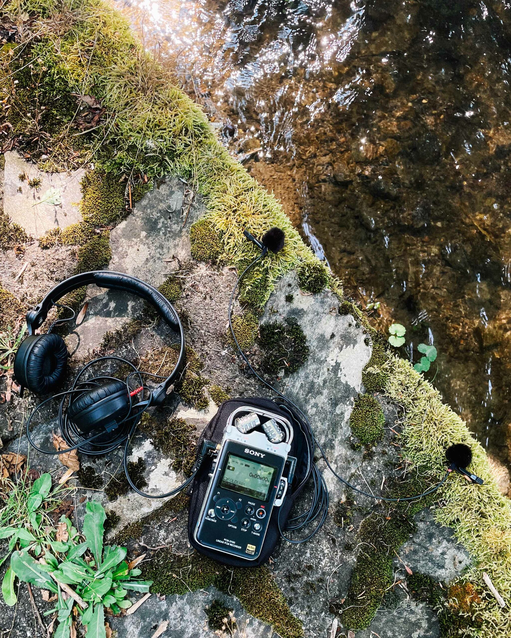 Sony PCM D100 prepared for field recording
