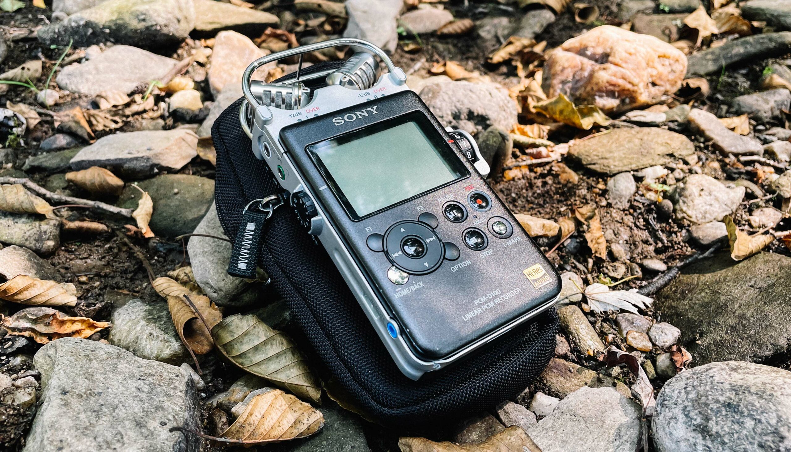 Sony PCM D100