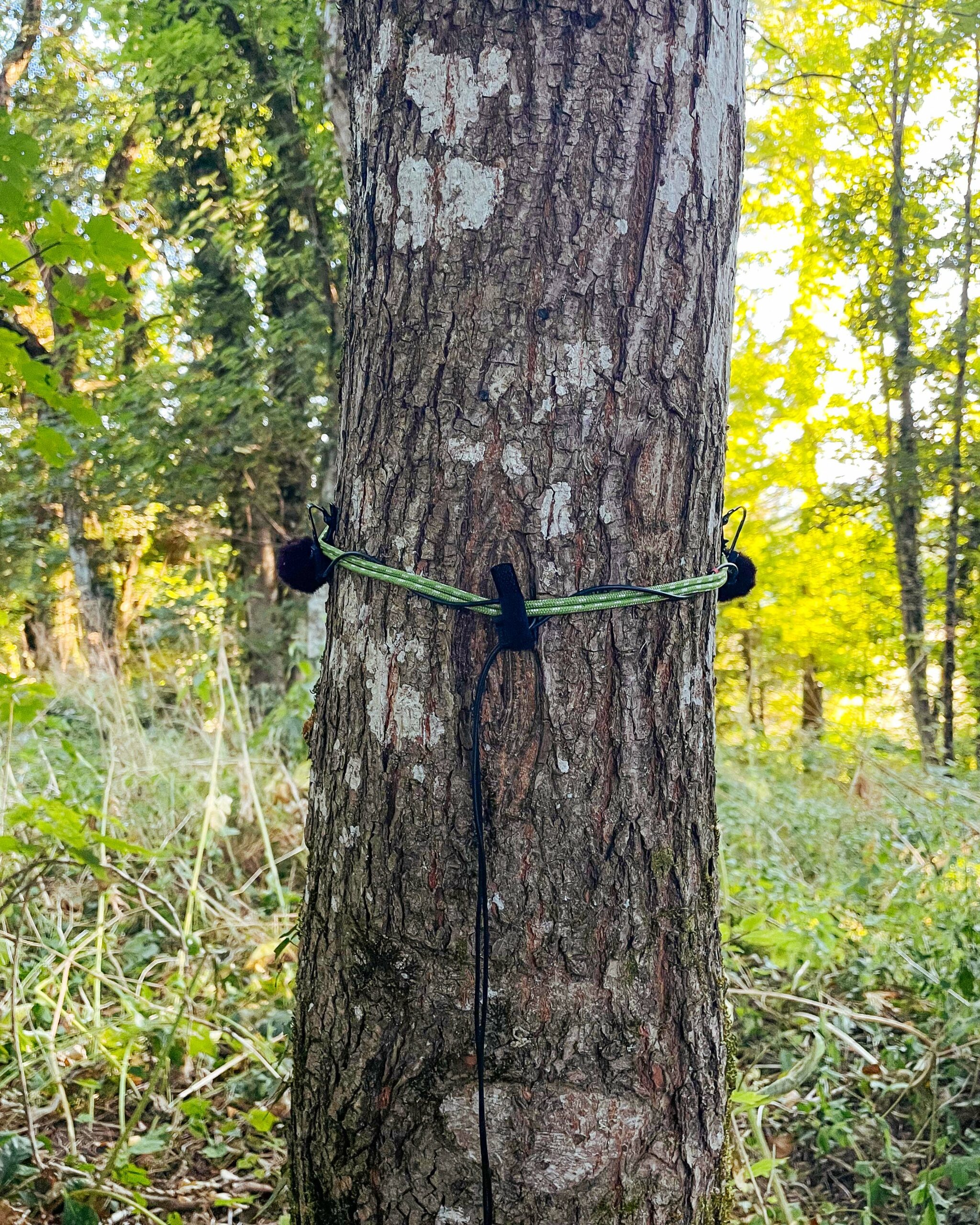 DROP RIG 3