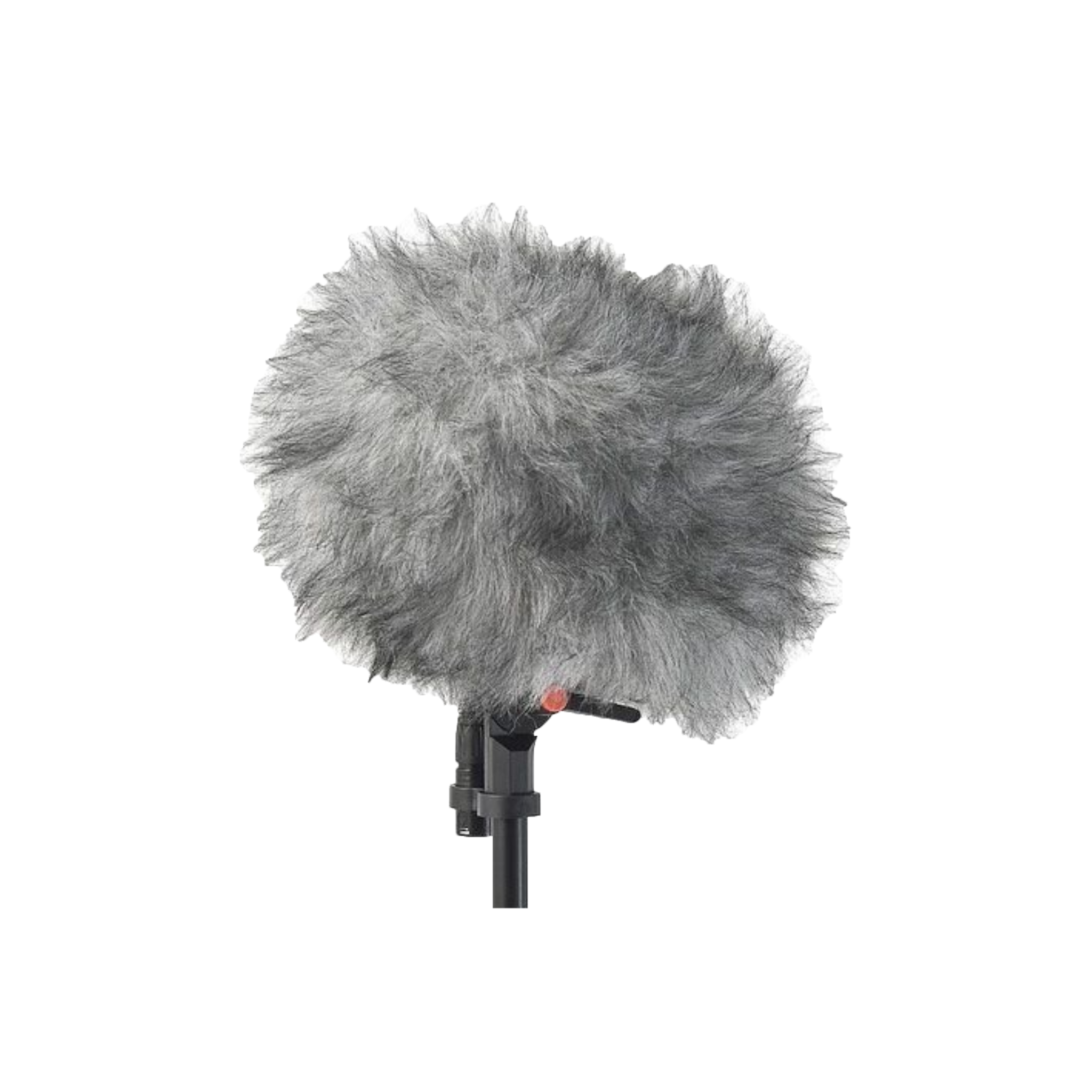 windshield