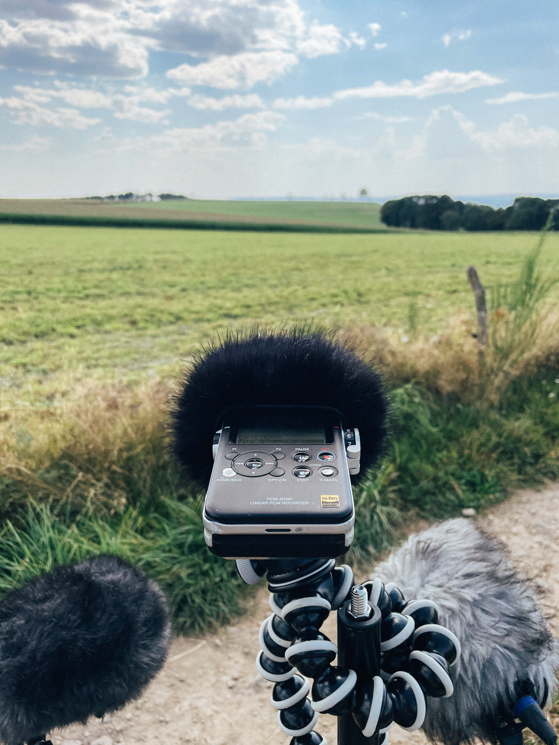 Wind Protection Comparison — photograph 5