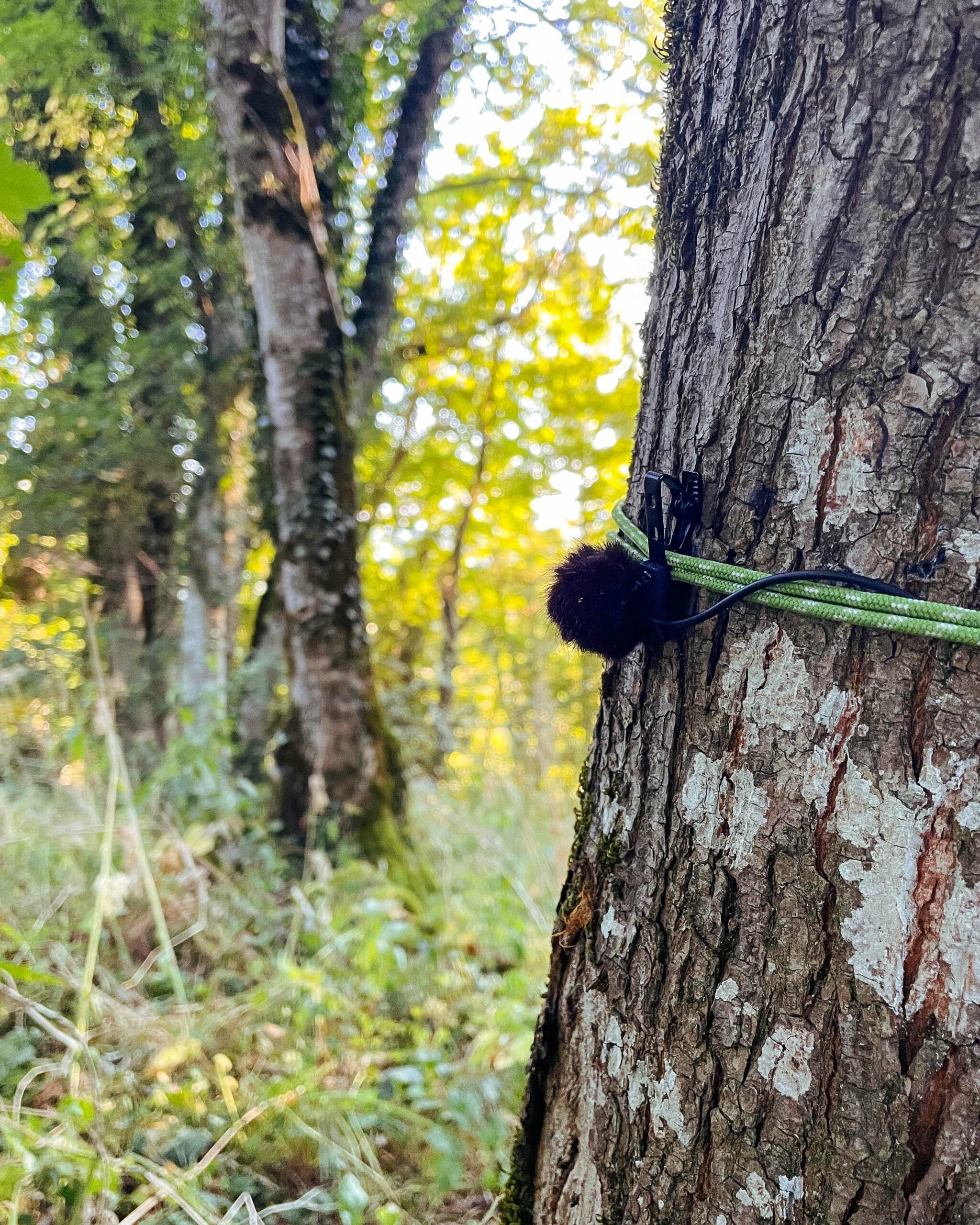 DROP RIG 2