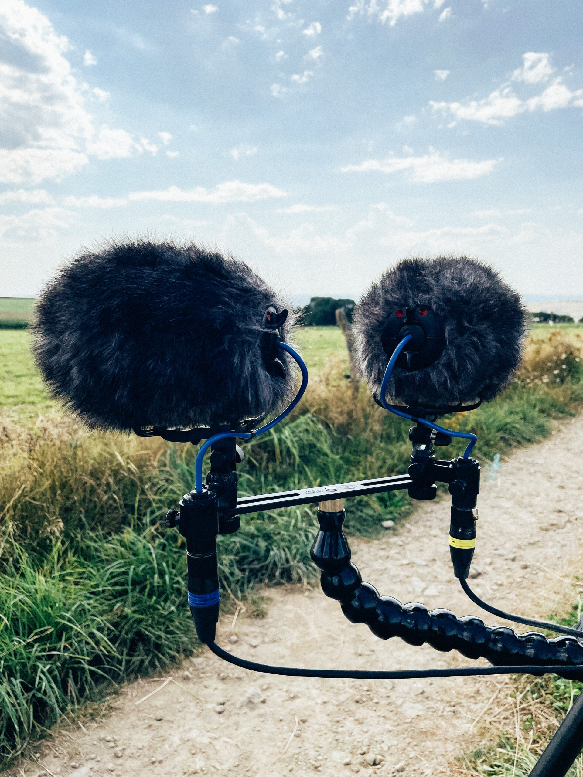 Wind Protection Comparison — photograph 4