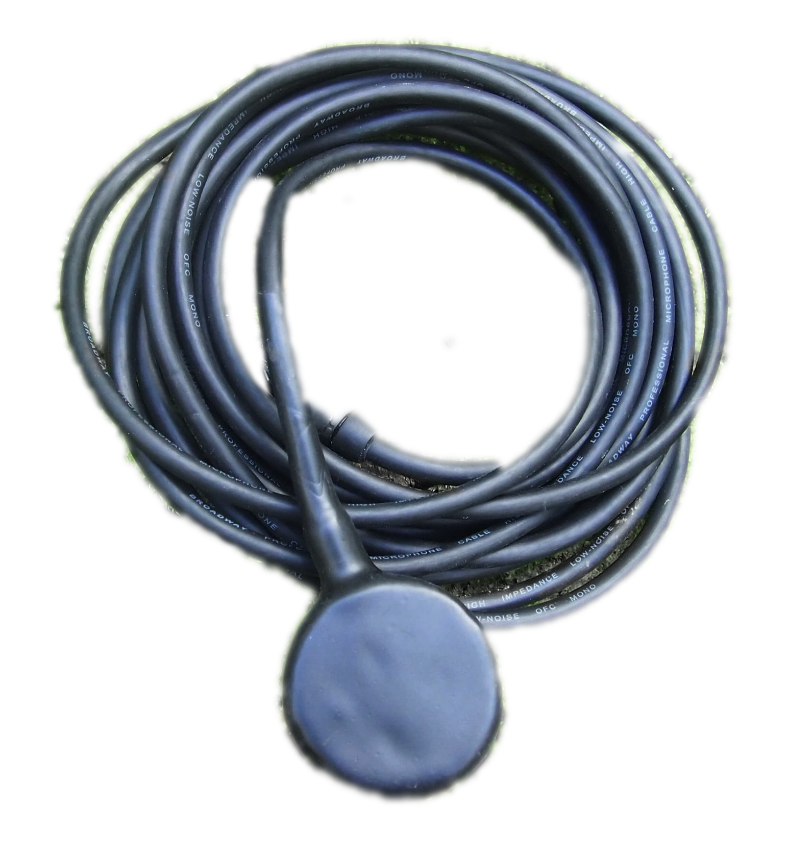 hydrophone wisla