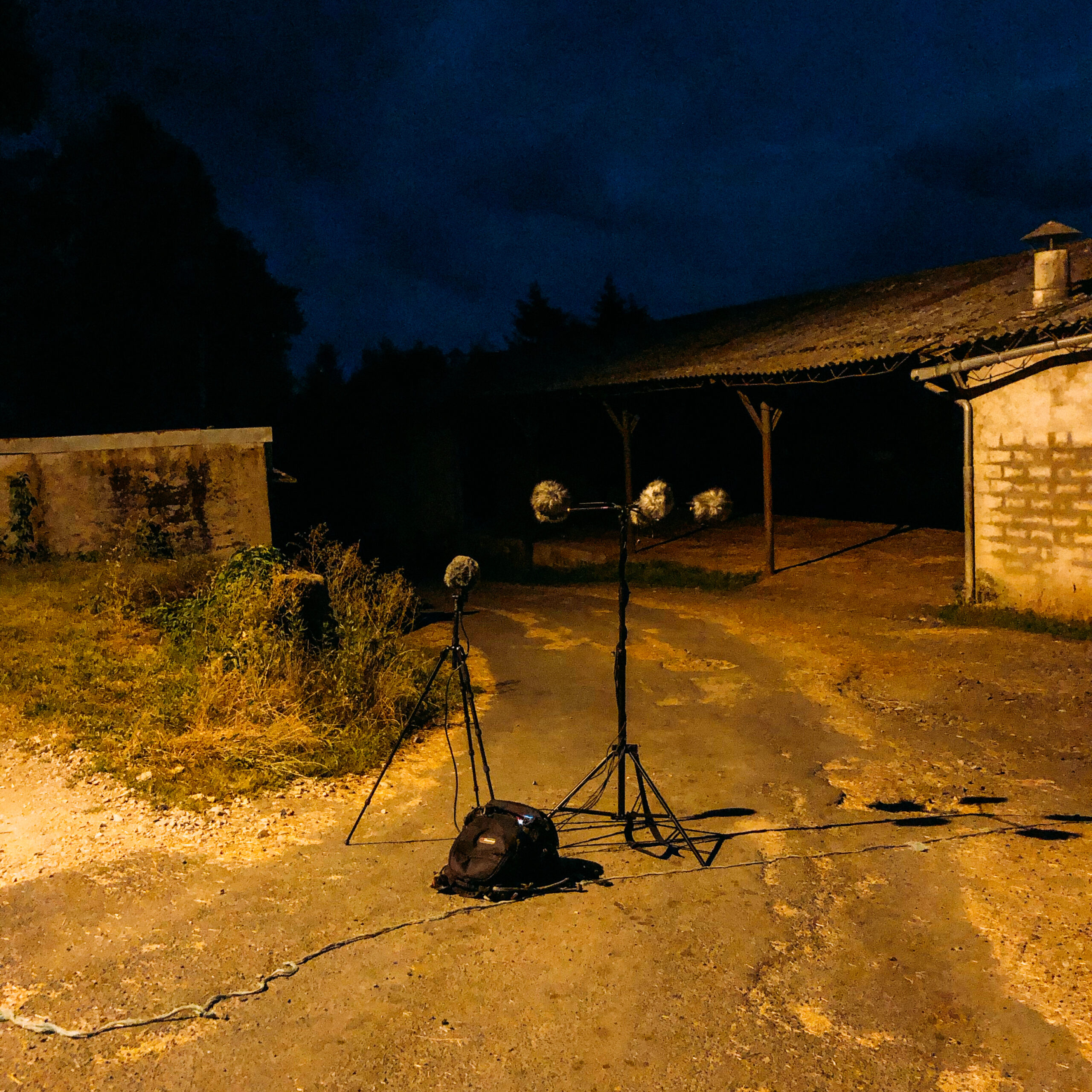Field recording photograph from the Cantal Countryside sessions (16)