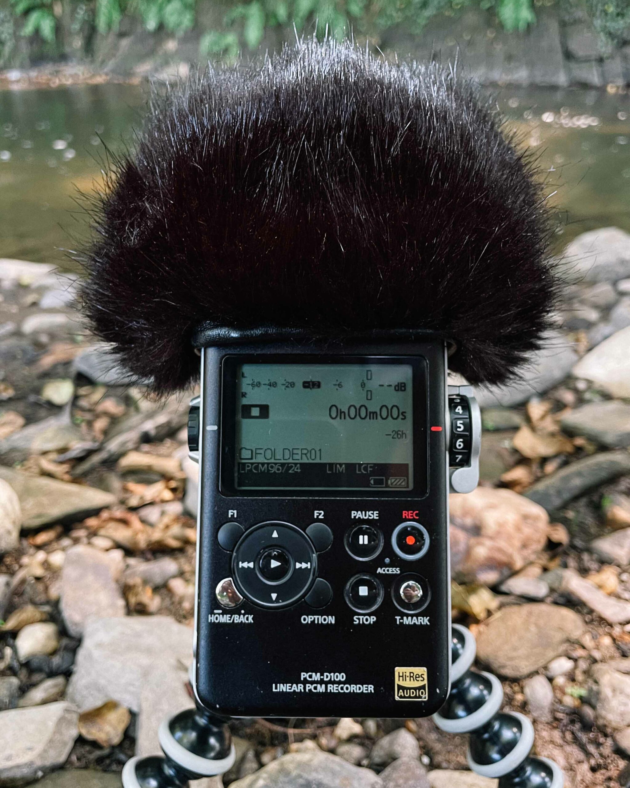 Sony PCM D100 Bubblebee