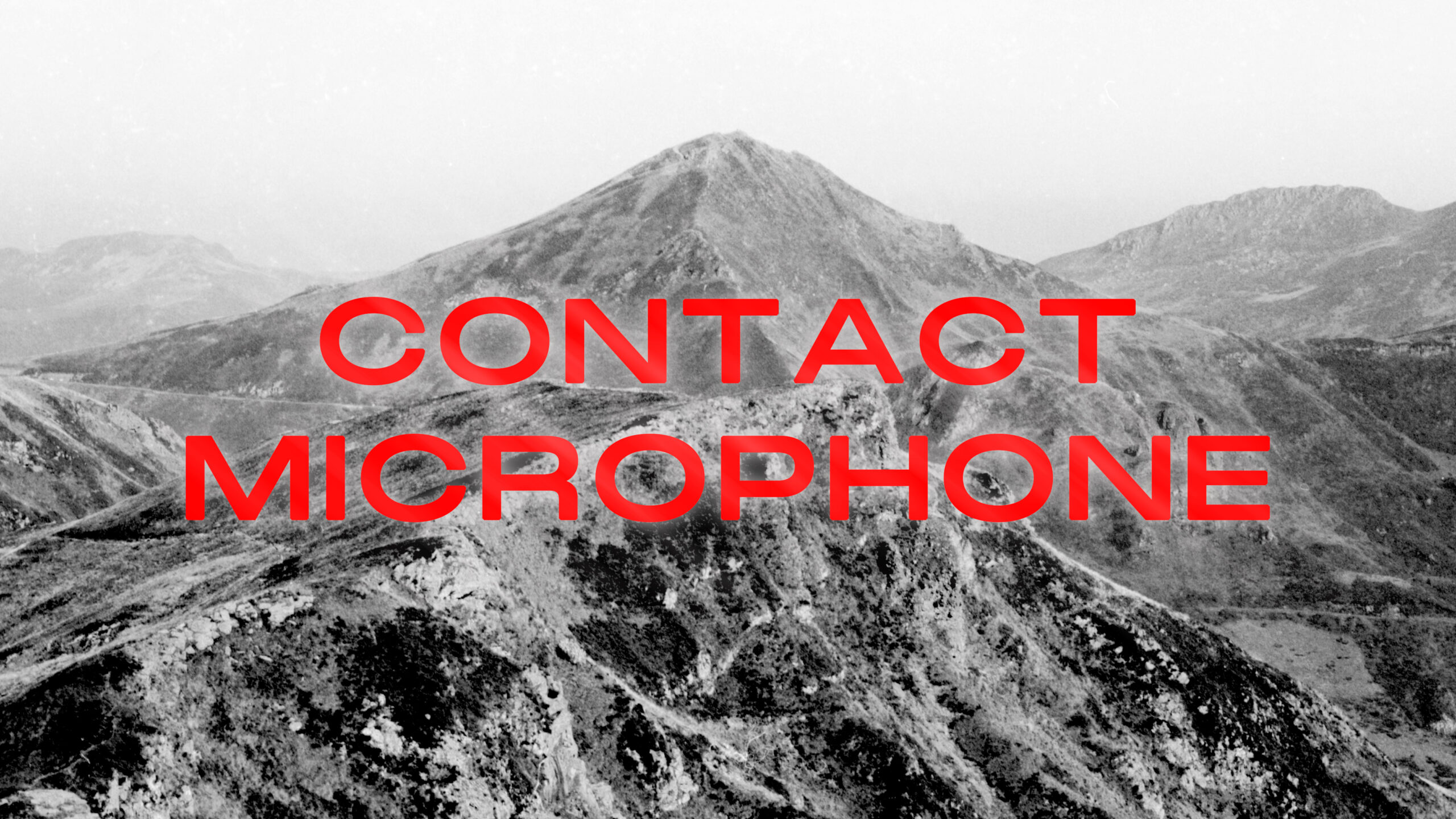Contact Microphone 2