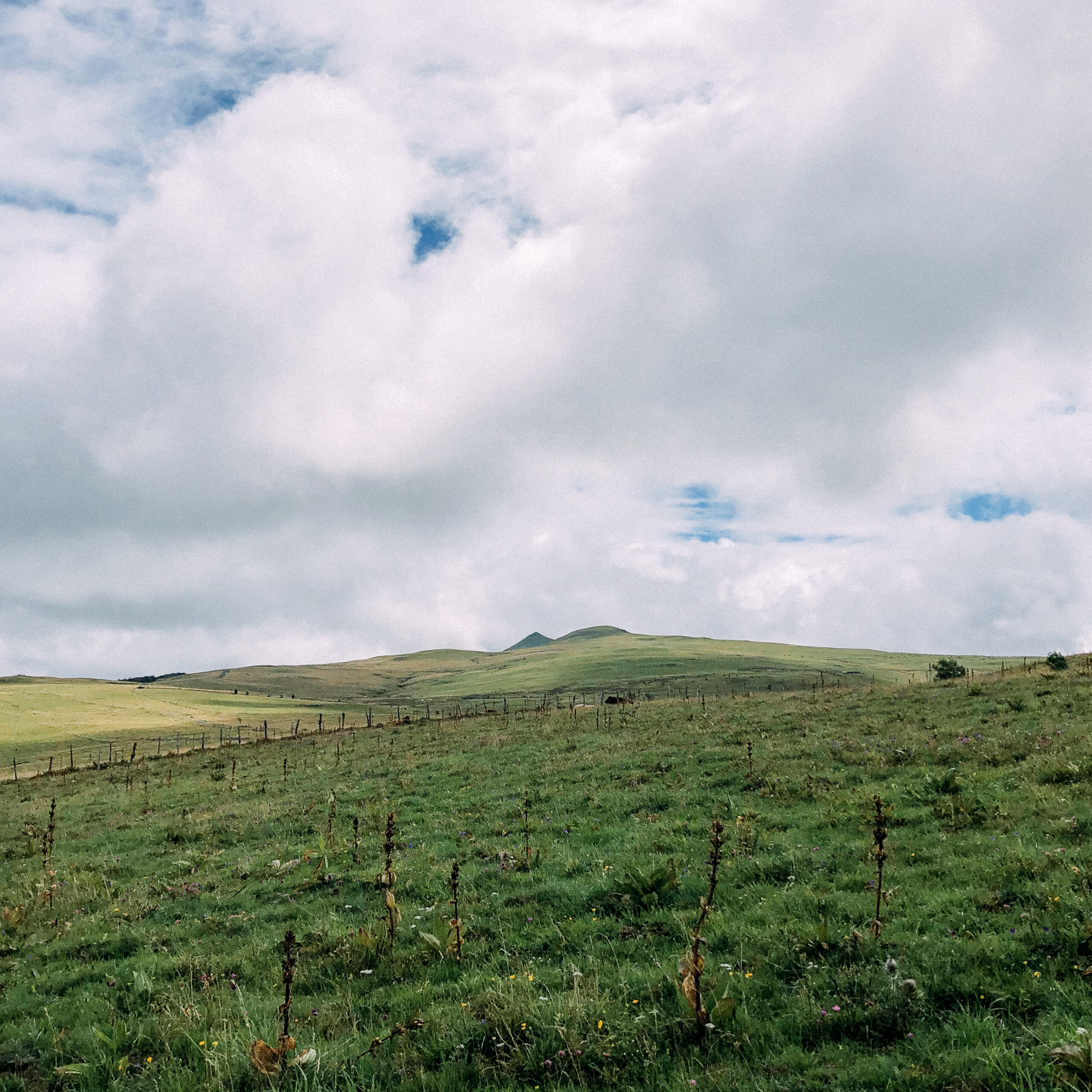 Field recording photograph from the Cantal Countryside sessions (02)